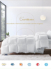 Hotel 95% piuma d'oca fornitore della Cina 100% cotone King Cover White