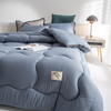 Dormitorio alternativo in piumino di poliestere Accogliente sensazione autunnale per due letti singoli